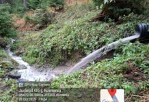 Amendă pentru apele menajere deversate în pădure la Rânca
