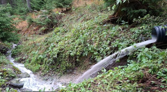 Amendă pentru apele menajere deversate în pădure la Rânca