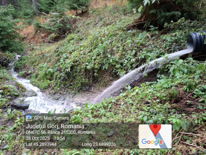 Amendă pentru apele menajere deversate în pădure la Rânca