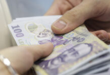 Angajatorii pot primi 2.250 de lei de la stat