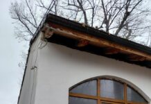 CAZEMATA ȘI TEIUL LUI VLAHUȚĂ