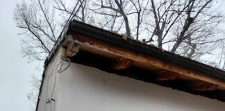 CAZEMATA ȘI TEIUL LUI VLAHUȚĂ