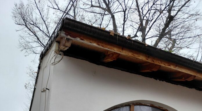 CAZEMATA ȘI TEIUL LUI VLAHUȚĂ