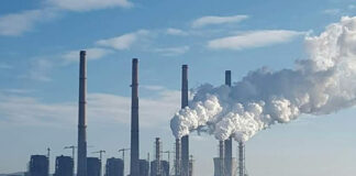 Complexul Energetic Oltenia se pregătește să vândă pachete de energie cu livrare în 2026