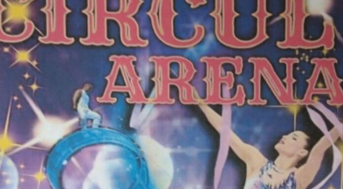 Spectacol de circ, gratuit, la Bâlteni