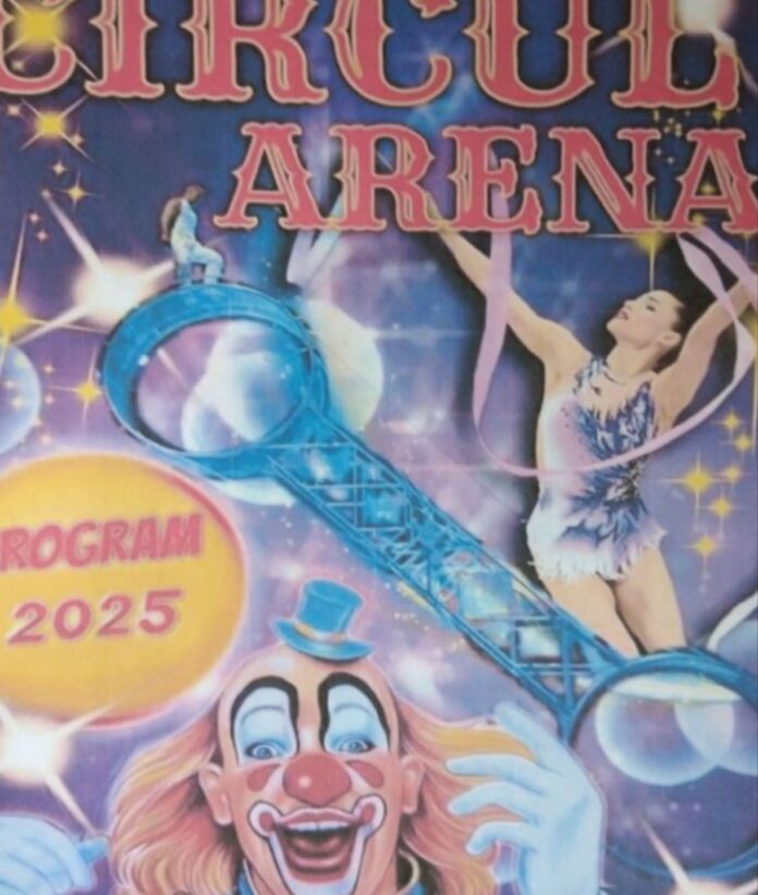 Spectacol de circ, gratuit, la Bâlteni