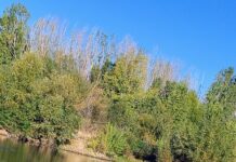 Risc de viituri pe Jiu și Gilort! Cod galben de inundații