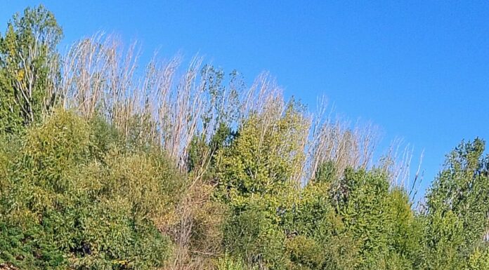 Risc de viituri pe Jiu și Gilort! Cod galben de inundații