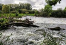 60 de solicitări pentru pescuit pe apele de munte din Gorj, în acest sezon. Direcția Silvică gestionează 11 râuri și un lac