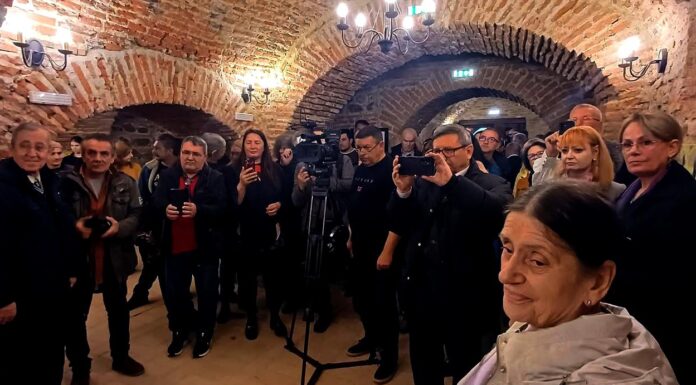 Glogova Art Project | Salon boieresc