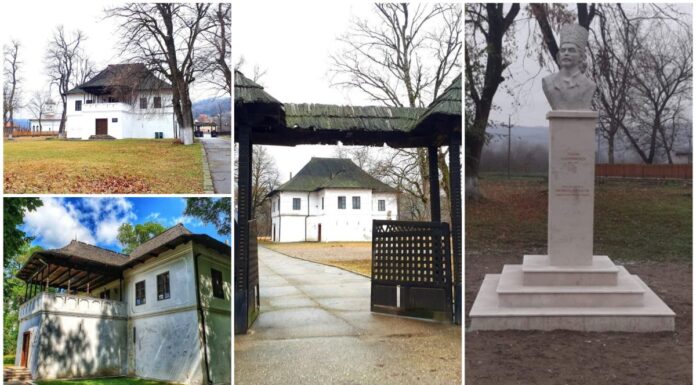 Regal de artă contemporană la Cula Glogovenilor din județul Gorj