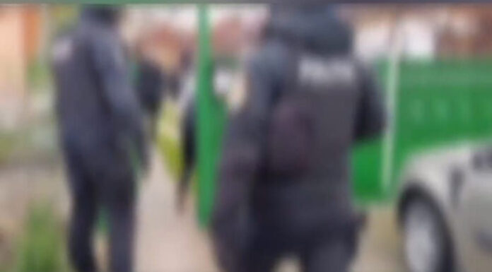 Șase bărbați, reținuți după percheziții