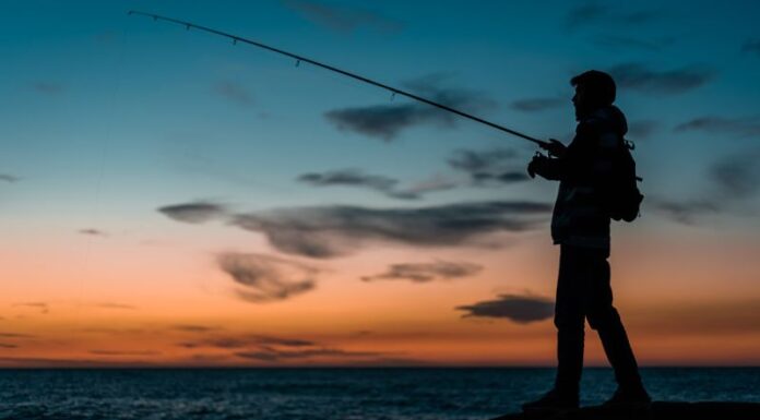 Echipamente practice pentru partide lungi de pescuit