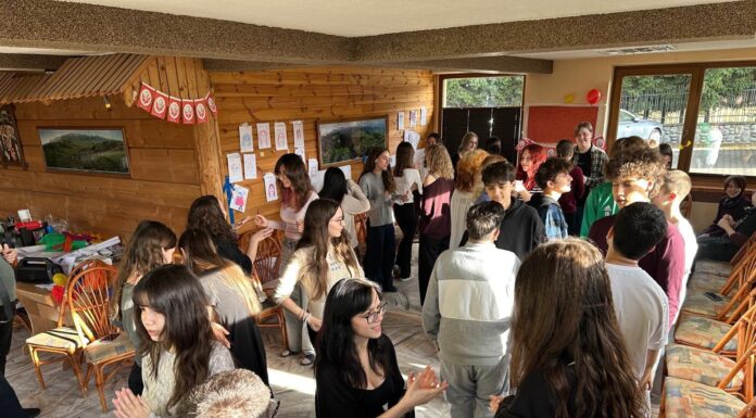 Liceul de Arte din Târgu Jiu, experiență europeană în Polonia