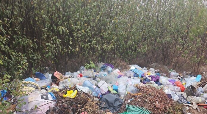 Primăriile din Gorj, controlate de comisarii de mediu