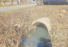 Operatorii de apă-canal din județ, amendați de comisarii de mediu