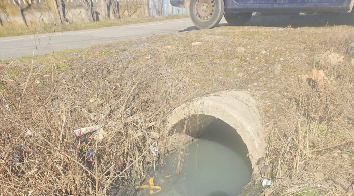 Operatorii de apă-canal din județ, amendați de comisarii de mediu