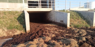 Agricultura pe înțelesul tuturor – Gunoiul de grajd – o comoară a fermierilor
