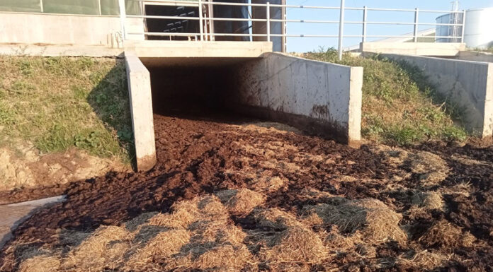 Agricultura pe înțelesul tuturor – Gunoiul de grajd – o comoară a fermierilor