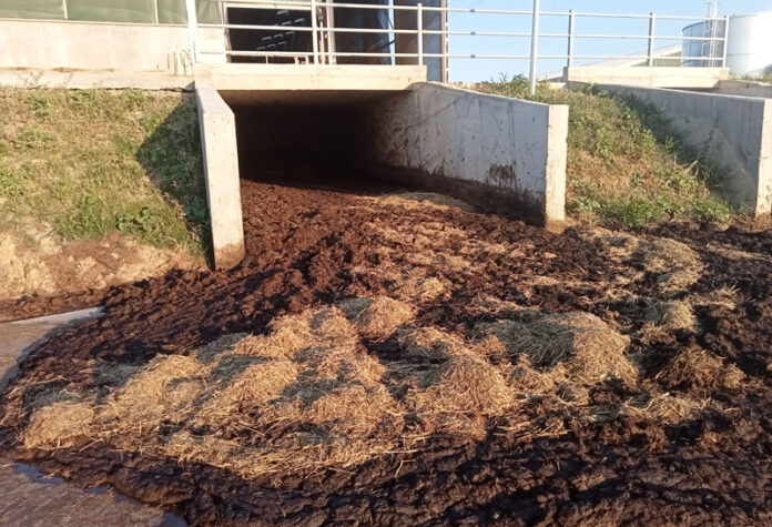 Agricultura pe înțelesul tuturor – Gunoiul de grajd – o comoară a fermierilor