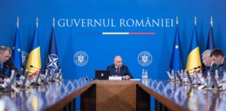 Reforma administrativă – între eficiență și risc social