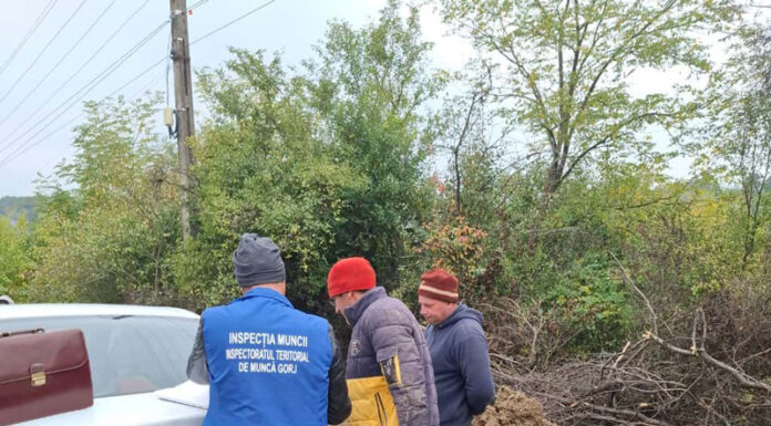 Inspectorii de muncă i-au controlat pe transportatorii din județ. Amenzi de sute de mii de lei