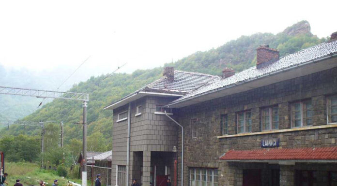 Tren întârziat din cauza unei șine rupte la Lainici