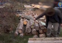 Reținuți după percheziții