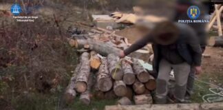 Reținuți după percheziții