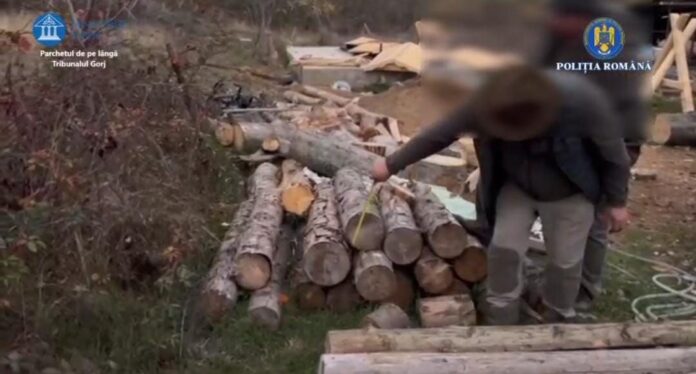 Reținuți după percheziții