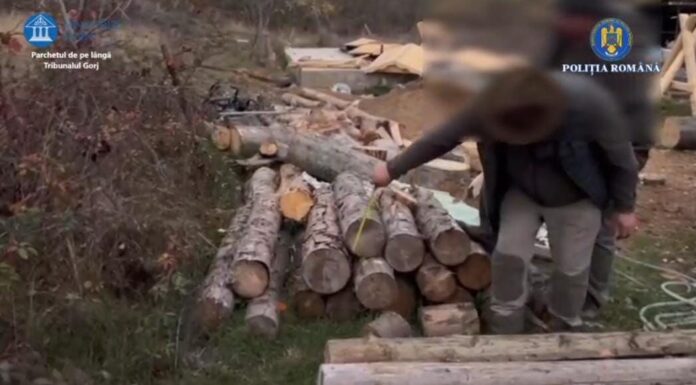 Reținuți după percheziții