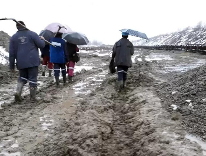 Zeci de ,,determinați” din CEO și-au pierdut locul de muncă. Nicio reacție a șefilor