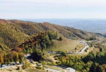 A VENIT TOAMNA. CU MIROS DE IARNĂ