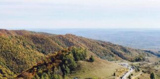 A VENIT TOAMNA. CU MIROS DE IARNĂ