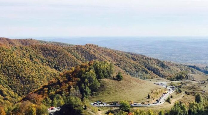 A VENIT TOAMNA. CU MIROS DE IARNĂ