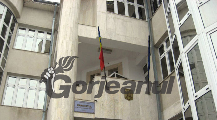 A scăpat de dosarul de evaziune fiscală, după ce a achitat prejudiciul de peste 500.000 de lei