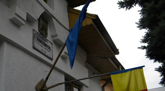 Agresorul minorului bătut pe o stradă din Târgu-Jiu, pus sub control judiciar