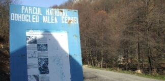 Peripluri gorjene – Revenire în parcurile naționale de pe Jiul de Sus