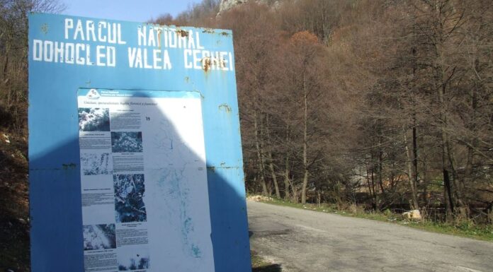 Peripluri gorjene – Revenire în parcurile naționale de pe Jiul de Sus