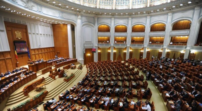 Ministra Mediului nu demisionează nici dacă va fi votată moțiunea