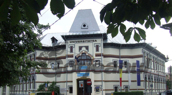 Concurs pentru un post de tehnician la Facultatea de Inginerie