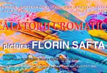 Zi dedicată culturii la CJCPCT Gorj: inaugurare de fond documentar și vernisajul expoziției „Călătorii cromatice”