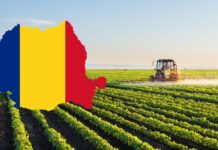 România, la 107 ani de la Marea Unire — între memorie, speranță și responsabilitate