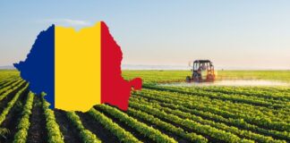 România, la 107 ani de la Marea Unire — între memorie, speranță și responsabilitate