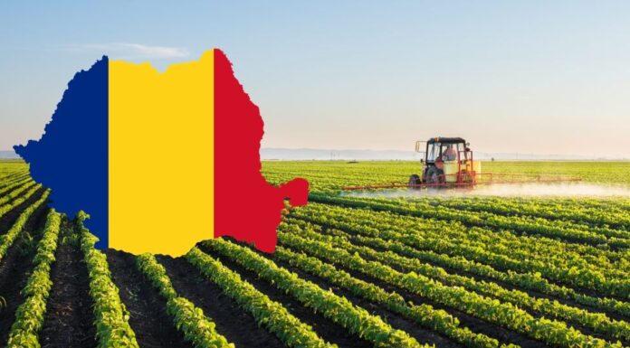 România, la 107 ani de la Marea Unire — între memorie, speranță și responsabilitate