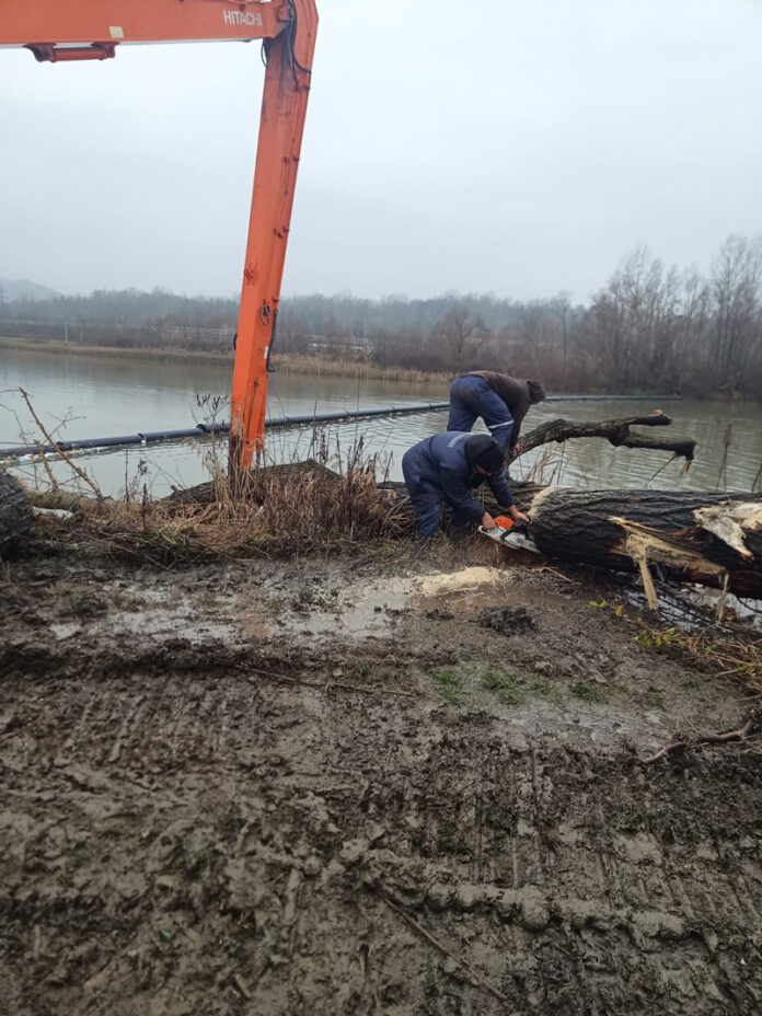 Lemnele aduse de viitură pe Jiu, îndepărtate de lucrătorii SGA