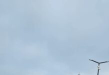 Defilare istorică la Rovinari! Armata a mărșăluit pentru prima dată în cei 44 de ani de existență ai orașului