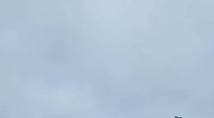 Defilare istorică la Rovinari! Armata a mărșăluit pentru prima dată în cei 44 de ani de existență ai orașului