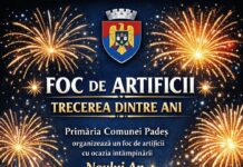 Revelion cu foc de artificii la Padeș