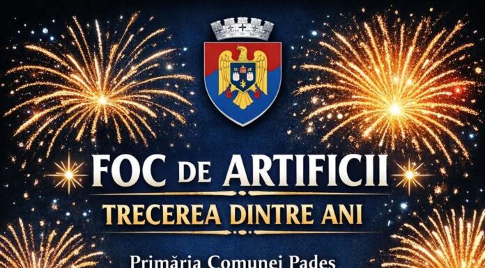 Revelion cu foc de artificii la Padeș